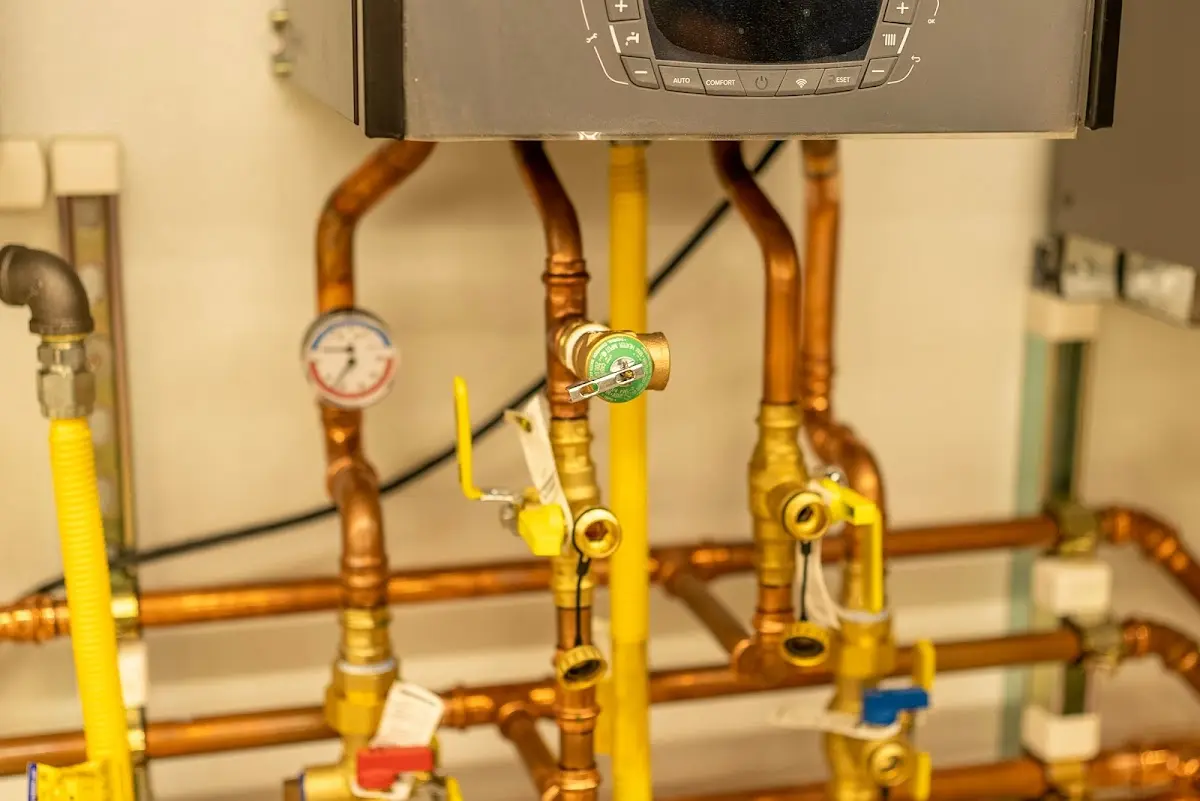 Licensed technician providing Emergency Plumbing for a homeowner in Forest